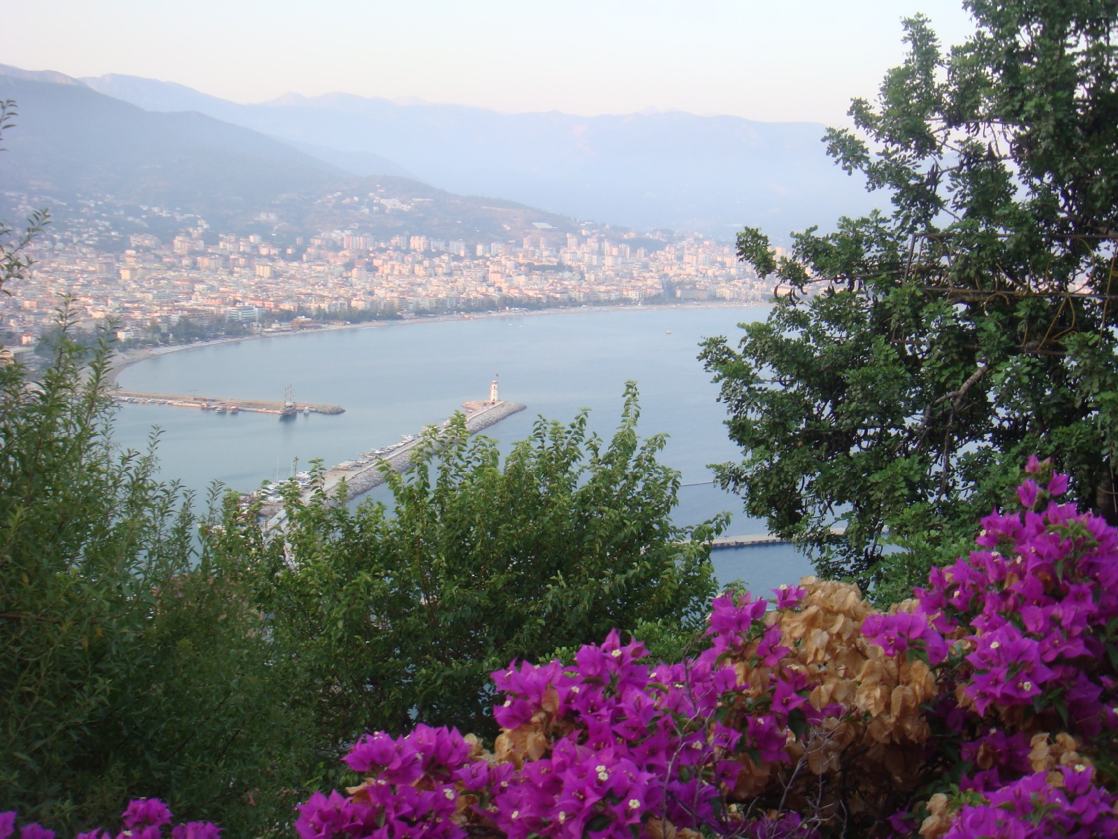 Alanya